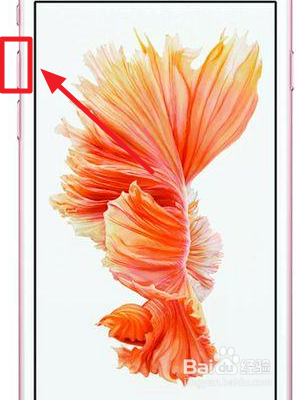 iphone 无法关机也无法操作