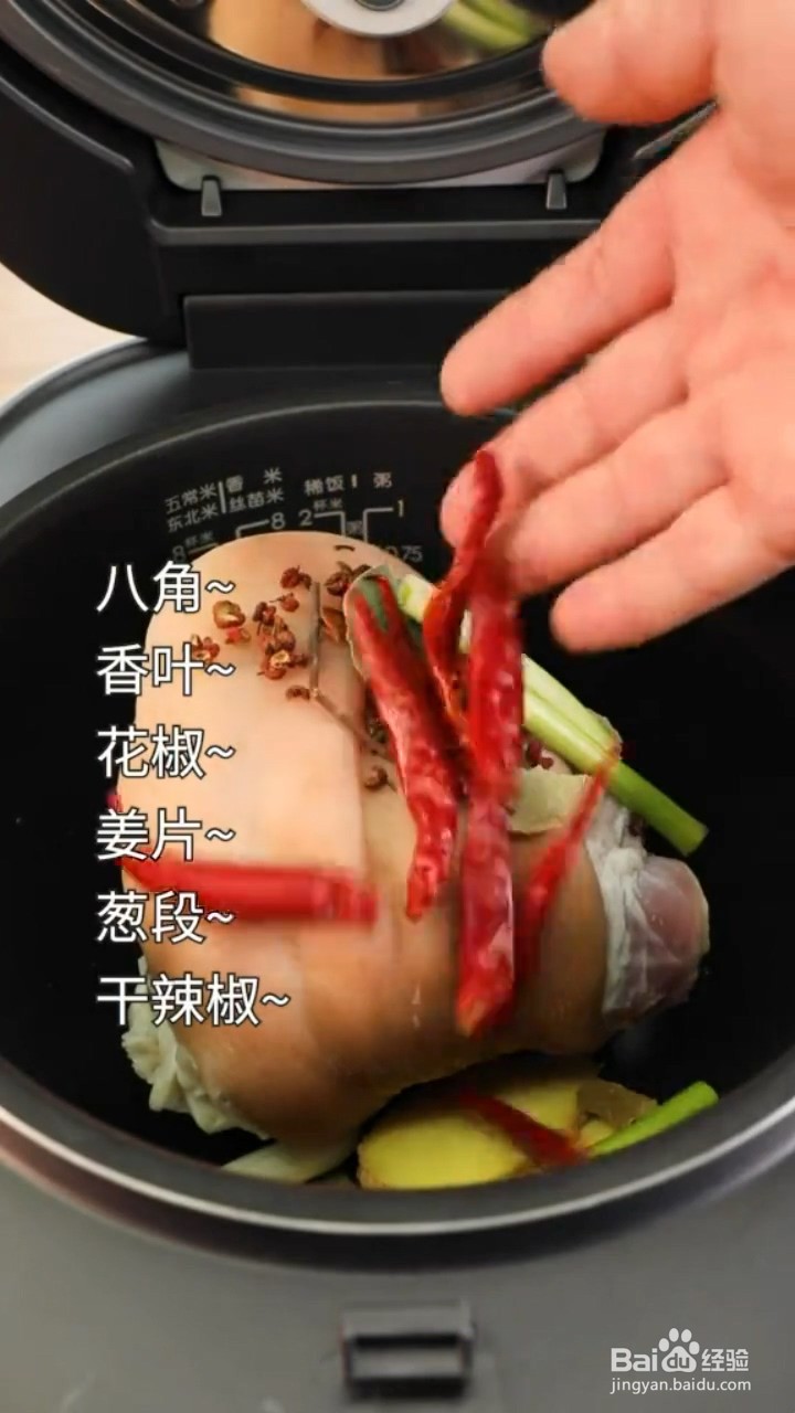 如何制作啤酒炖肘子