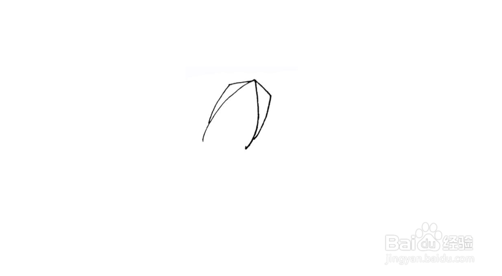 鱿鱼简笔画教程