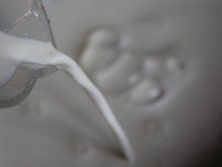 好吃的抹茶布丁