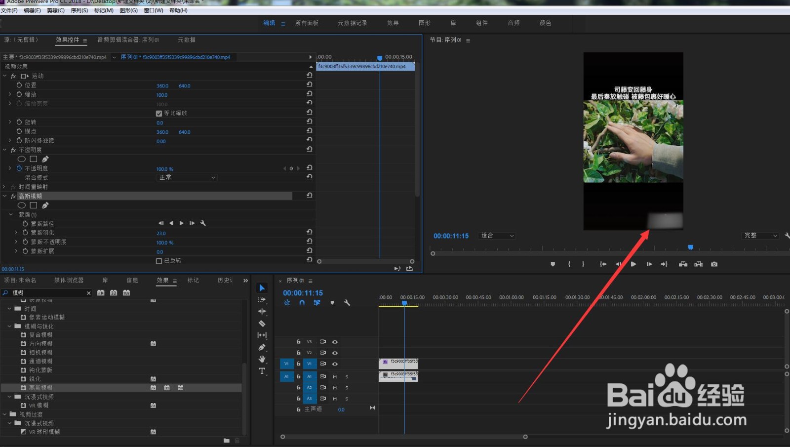 什么软件能去掉视频上的水印