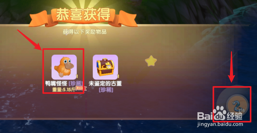 摩尔庄园怎么钓鸭嘴怪怪