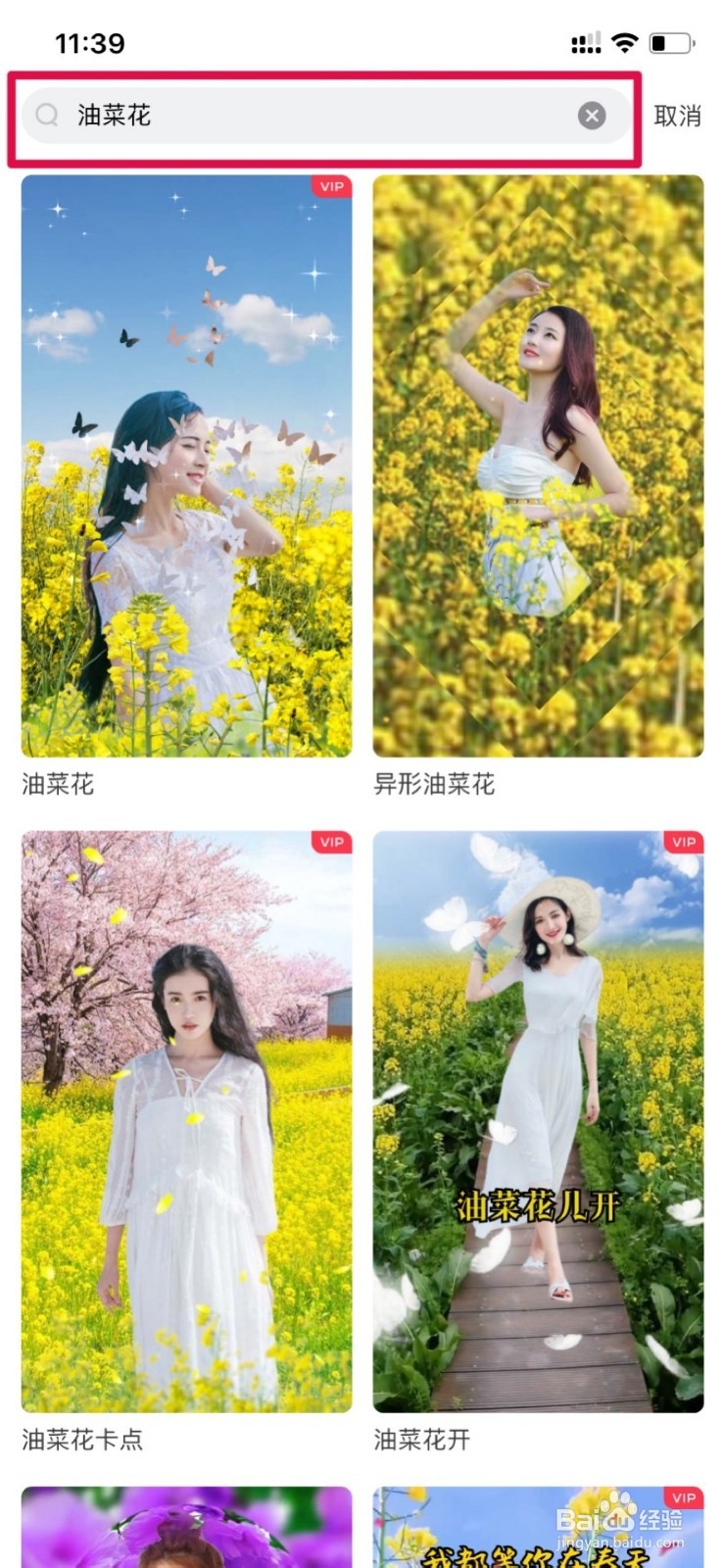 教你拍油菜花视频