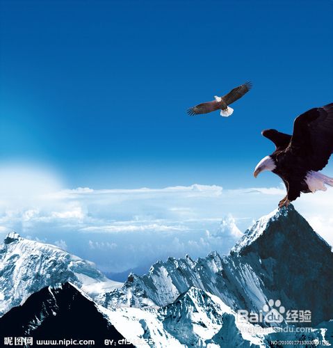 【原创】醒醒吧：迷茫不是你堕落的借口