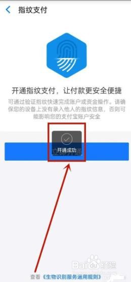 点淘如何打开指纹支付