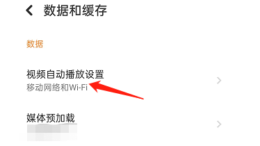 探探APP如何将视频自动播放关闭