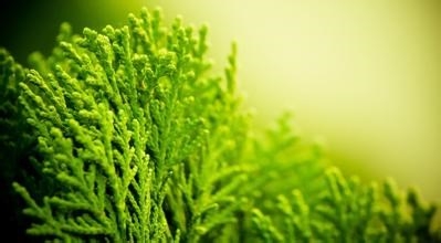 6种消除痘印的小窍门