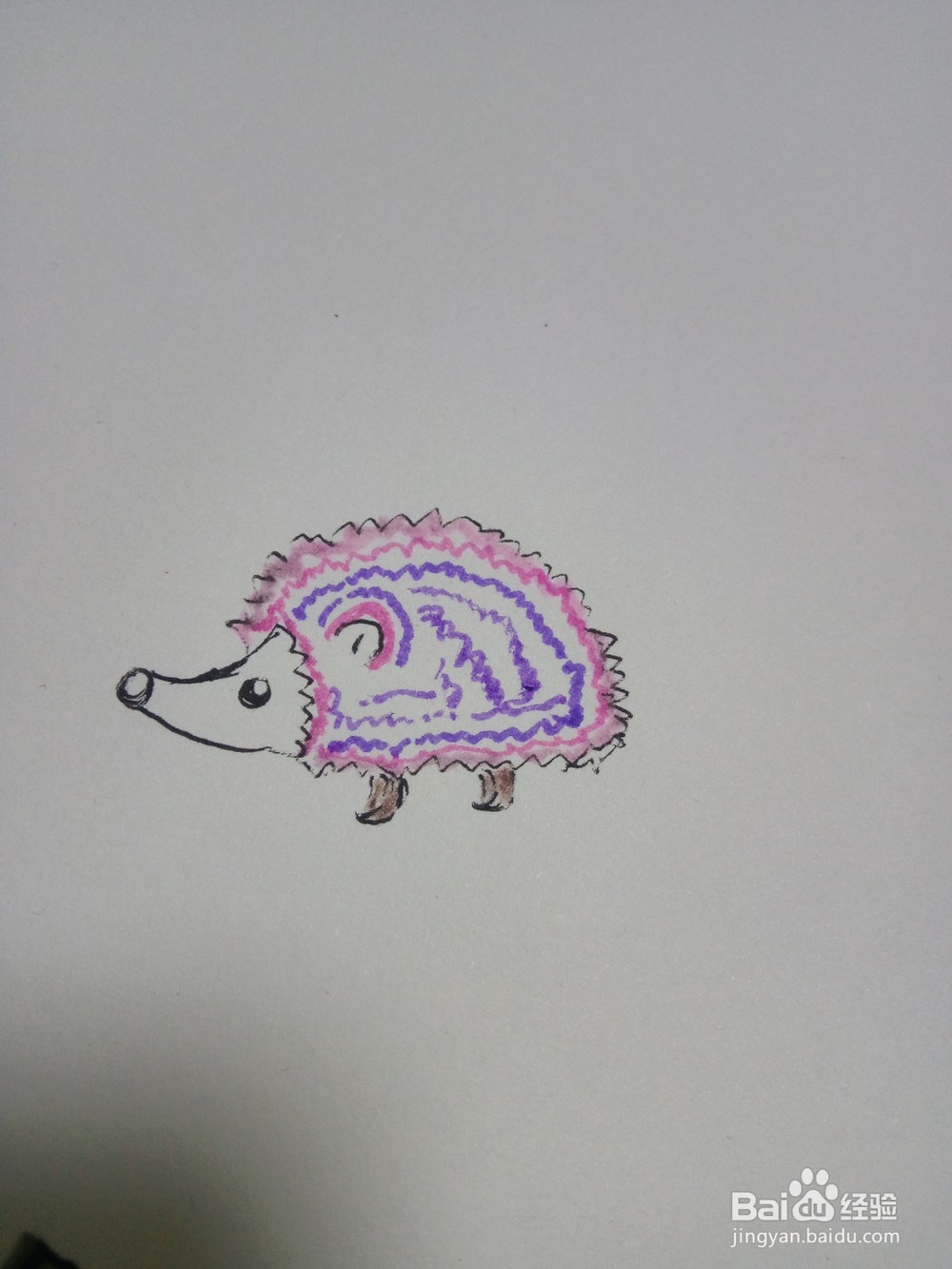 幼儿简笔画小刺猬