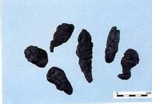 让你吃出好眼睛的食物