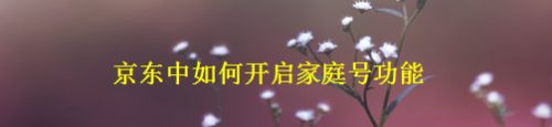 京东中如何开启家庭号功能