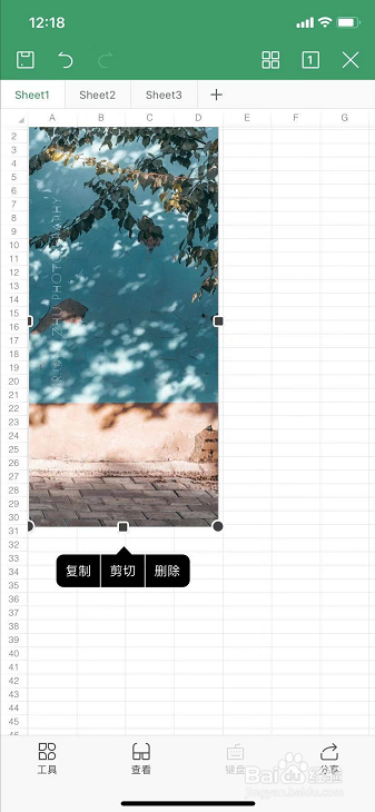 手机WPS Office表格如何插入图片