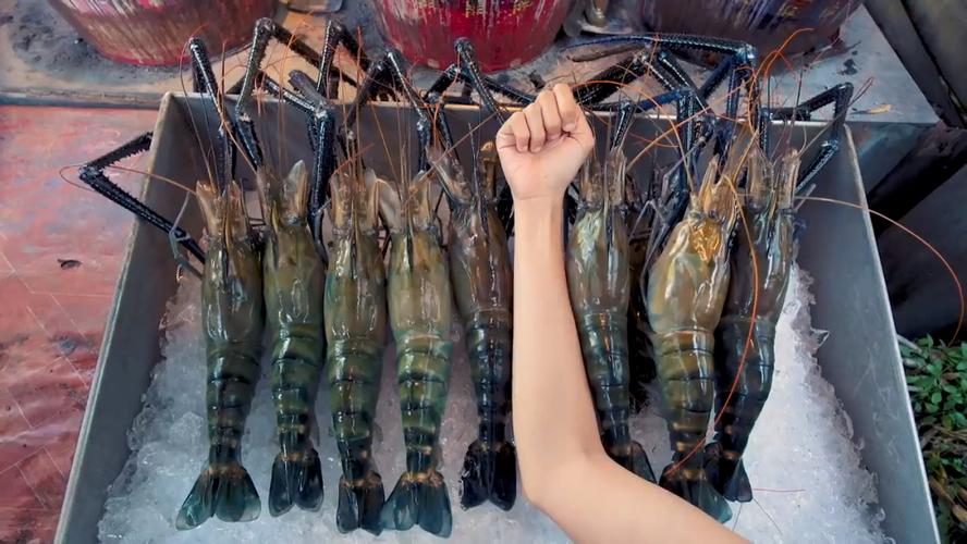 竹节虾和罗氏虾哪个贵