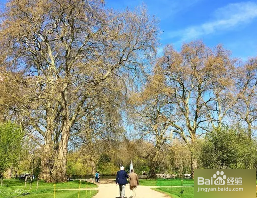 手机拍摄风景技巧