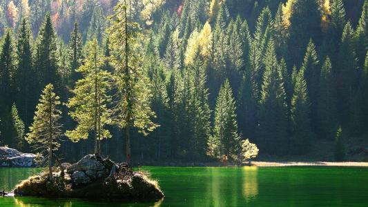 有一句歌词：“走进美丽雪山，来阅读大自然故事”，歌曲叫什么名