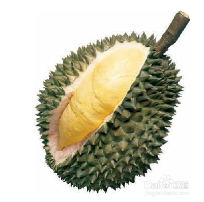 如何挑选好的榴莲?