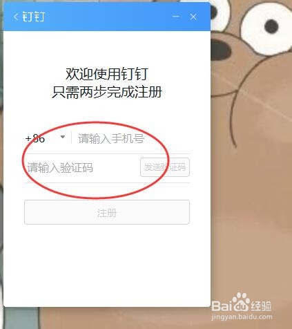 如何在电脑上注册钉钉新用户?