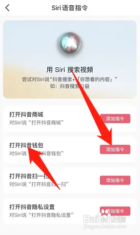 抖音钱包Siri语音指令如何开启