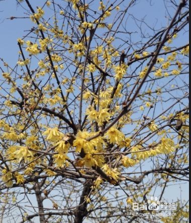 怎样从失恋的阴影中走出来