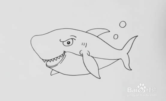 大白鲨怎么画?简笔画图片