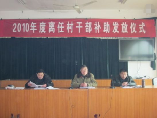 什么是正常离任村干部是哪些人