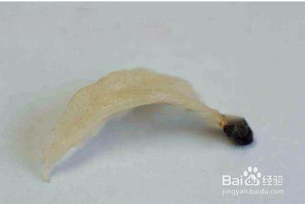 金腰燕燕窝分享鉴别燕窝方法