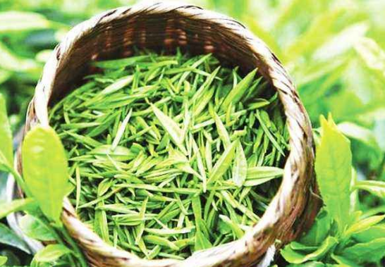 茶叶的种类有哪些