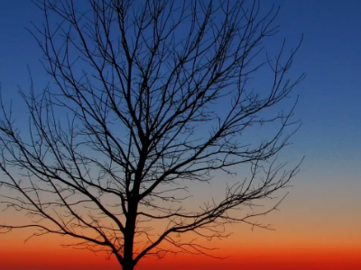 让人奴性十足的十句话有哪些