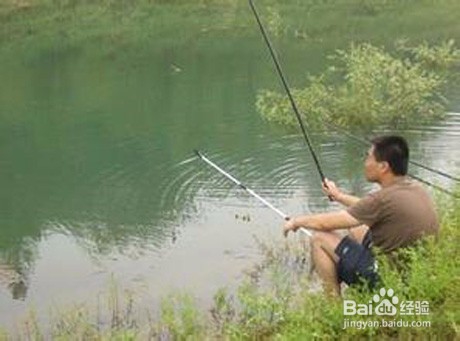 秋季怎样野钓鲫鱼