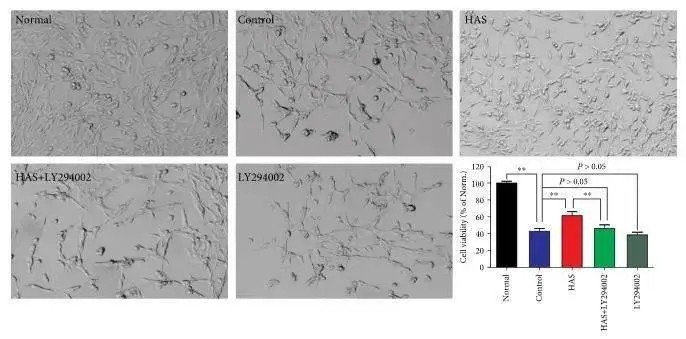Oxid Med Cell Longev需要提供原始数据吗