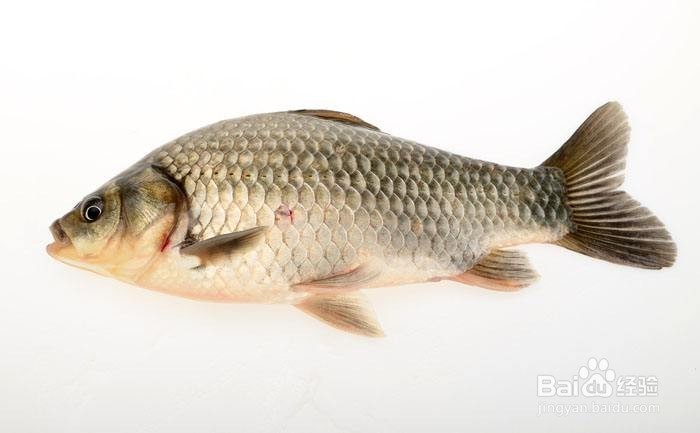 自然阳光：有害的食物搭配有哪些？