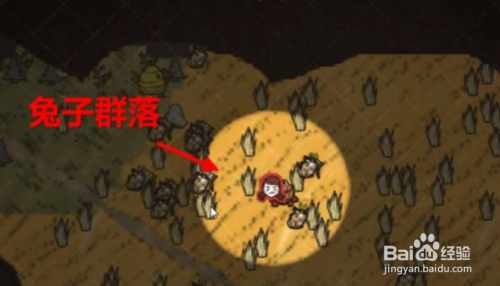 饥荒怎么养兔子(完整版)