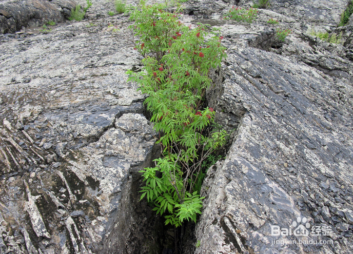 教你如何做个成功的人