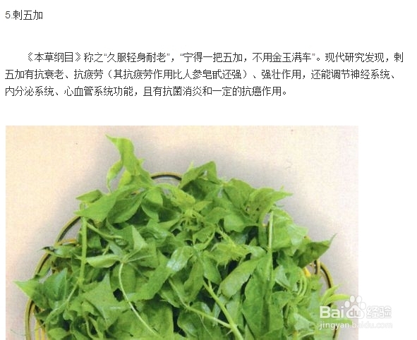 长生之道：[1]吃抗衰老中药，延年益寿