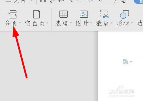 wps空白文档怎么插入分页符