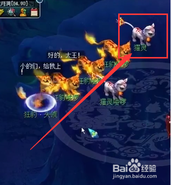 梦幻西游人形猫灵怎么抓