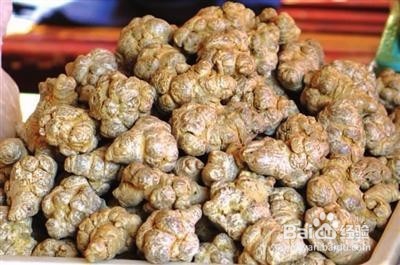 三七烘干机的一些使用心得以及田七采摘加工工艺