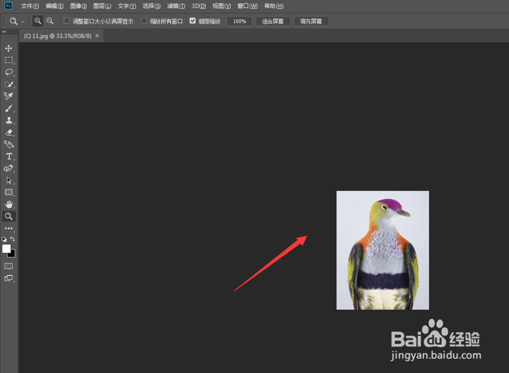 教你PS软件里面中如何快速放大、缩小。