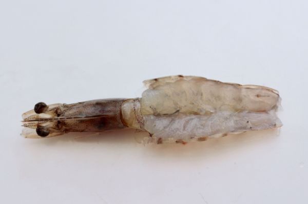 蒜末粉丝蒸好虾