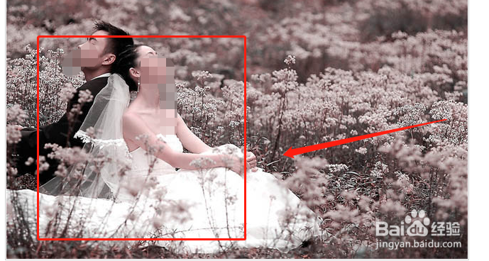 Photoshop打造梦幻的蓝紫色外景婚片