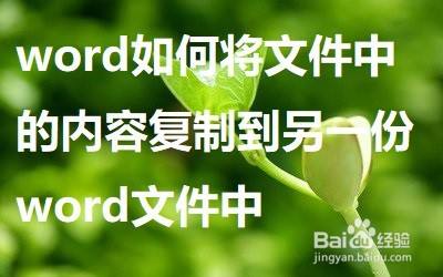 word如何将文件中的内容复制到另一份word文件中