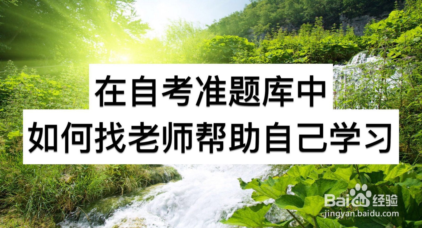 在自考准题库中如何找老师帮助自己学习
