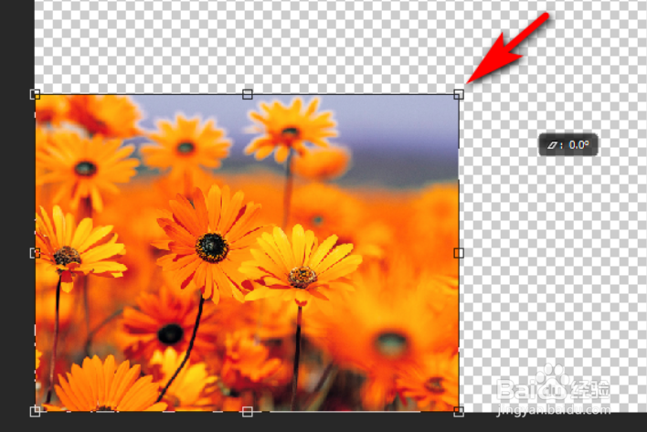ps按比例调整图片大小