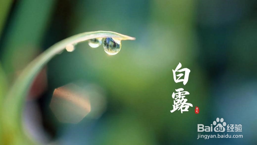 白露时节小心肺部的这些疾病，槲皮素三大功效是什么？