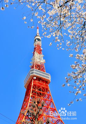 日本旅游攻略2016
