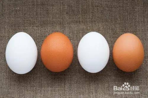 白壳与红壳鸡蛋到底有啥区别？