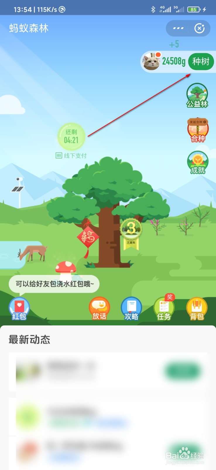 支付宝怎么种树