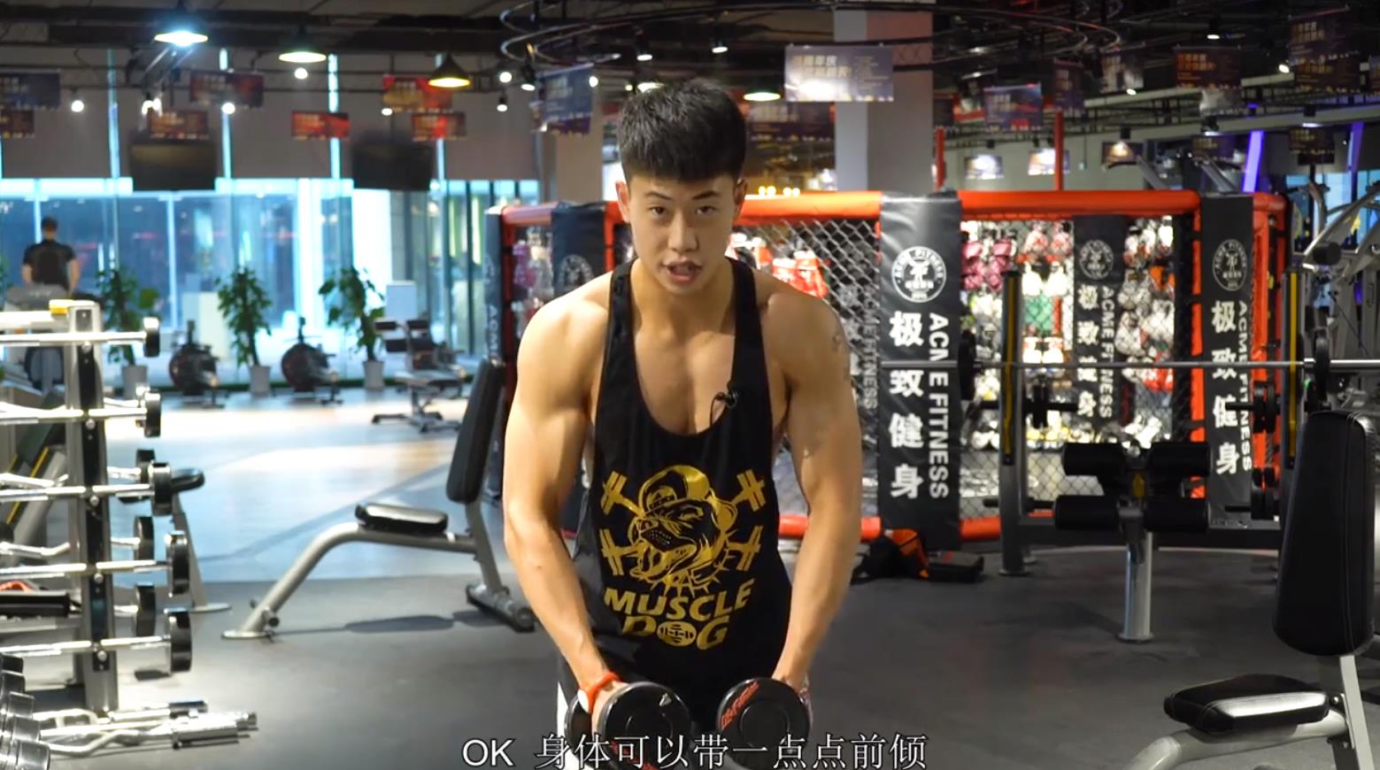 如何进行三角肌训练?