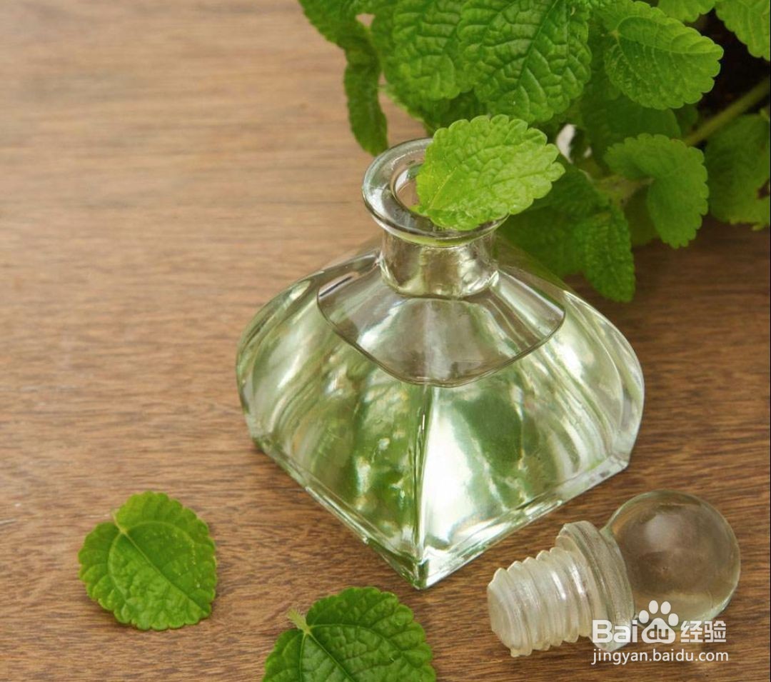 薄荷精油的功效与作用及副作用