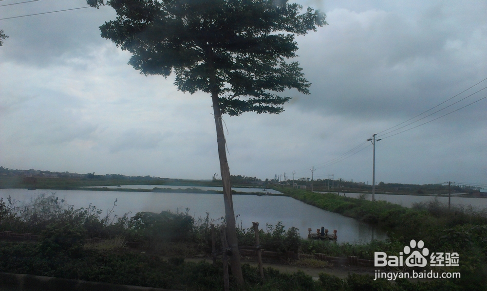 懒人有绝招：[3]食疗丰胸