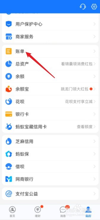 支付宝如何看每个月的总支出